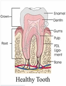 Health Tooth